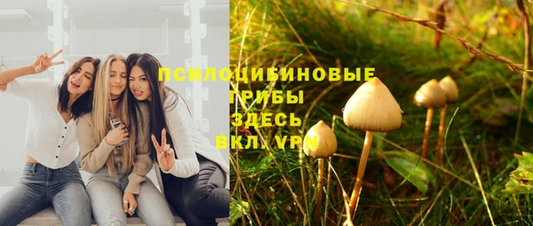 мет Богданович