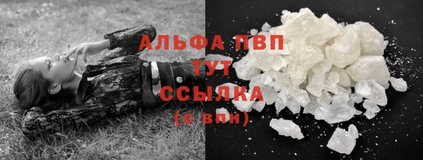 твердый Бородино
